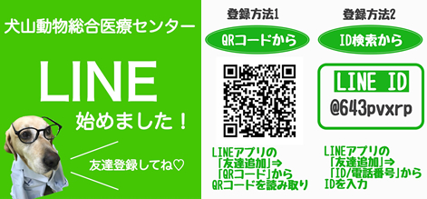 LINE始めました